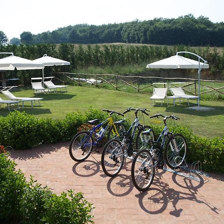 Oasi Del Grillo Lejlighedshotel Castelnuovo Berardenga Eksteriør billede