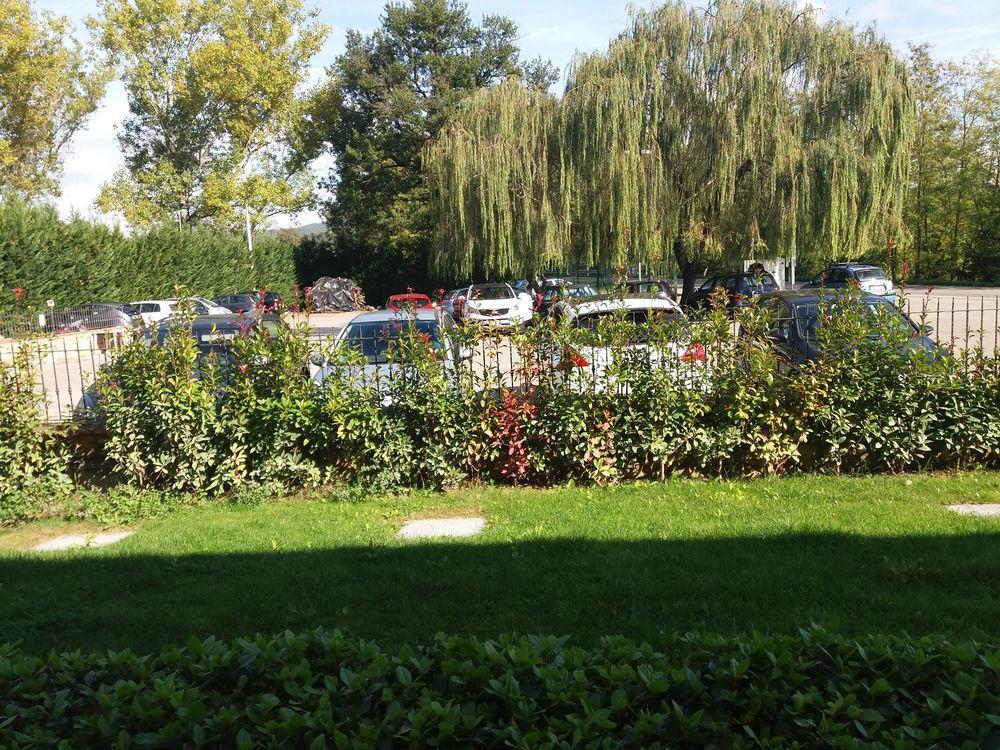 Oasi Del Grillo Lejlighedshotel Castelnuovo Berardenga Eksteriør billede