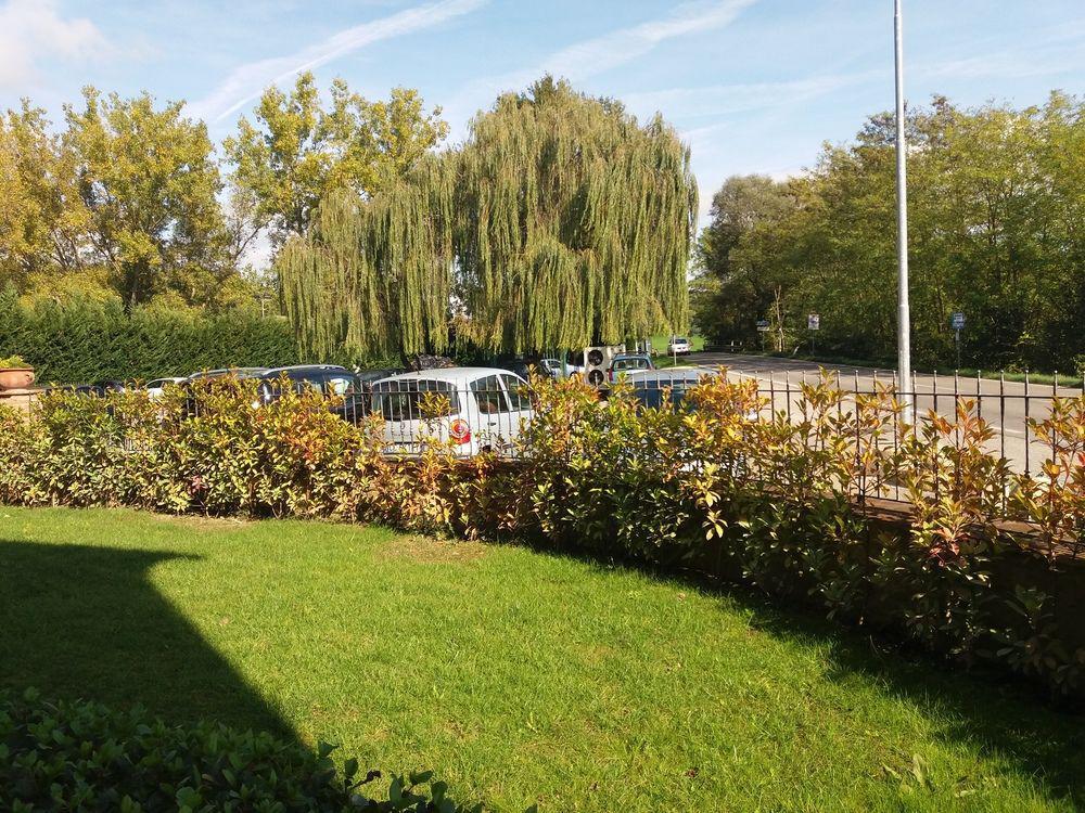 Oasi Del Grillo Lejlighedshotel Castelnuovo Berardenga Eksteriør billede